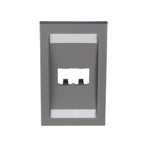 Placa de Pared Vertical Ejecutiva, Salida Para 2 Puertos Mini-Com, Con Espacios Para Etiquetas, Color Gris