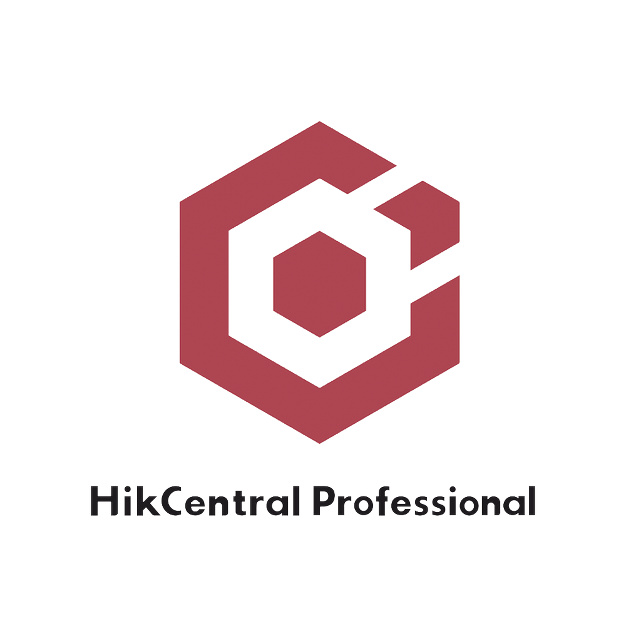 HikCentral Professional / Licencia Añade 1 Canal ANPR para solución Mobile (HikCentral-P-MS-1Ch/ANPR)