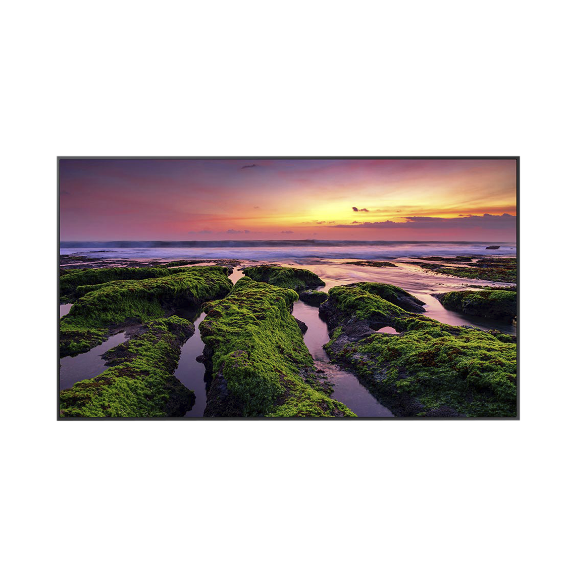 Pantalla Profesional LED de 55", UHD 4K (3840x2160p), Entradas de Video HDMI, Bocinas Integradas de 10 W. Compatible VESA