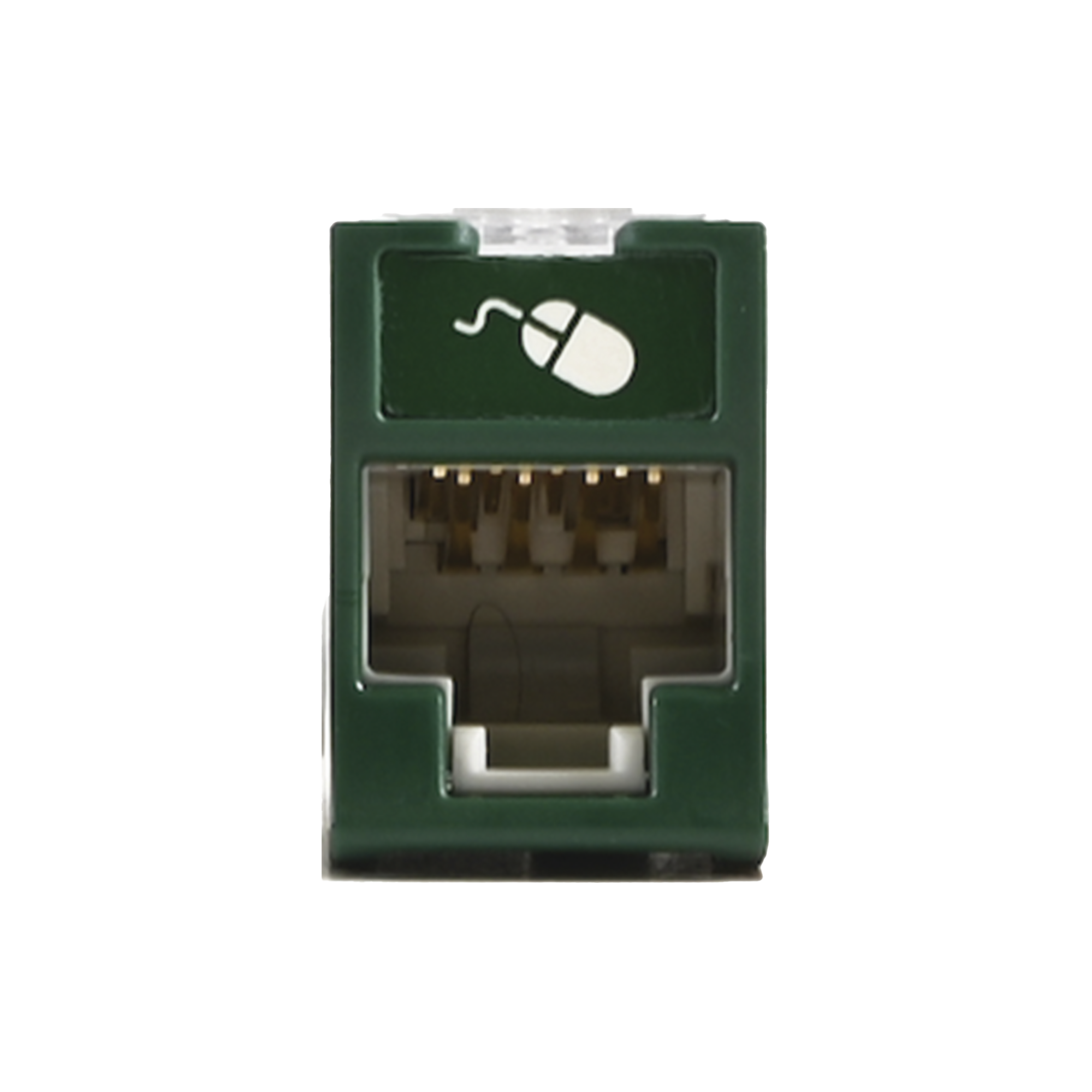 Jack UltraMAX Cat5e, UTP, Montaje híbrido en Placa de Pared (Plano y Angulado), Color Verde, Punch Down