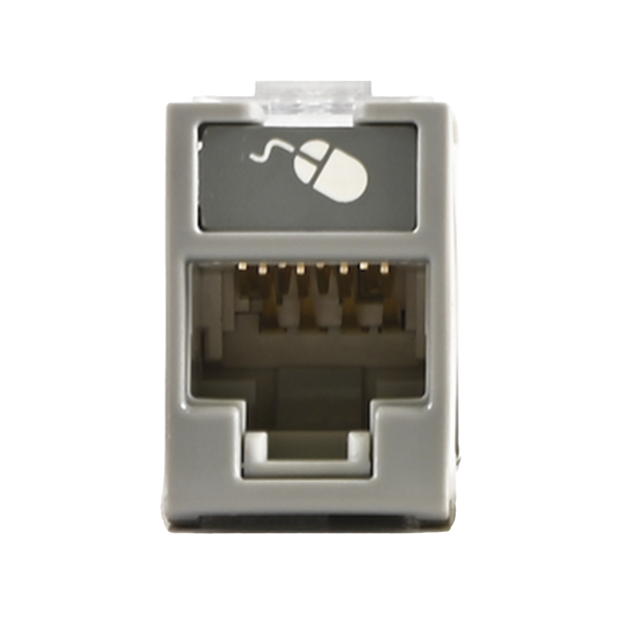 Jack UltraMAX Cat6, UTP, Montaje híbrido en Placa de Pared (Plano y Angulado), Color Gris, Punch Down