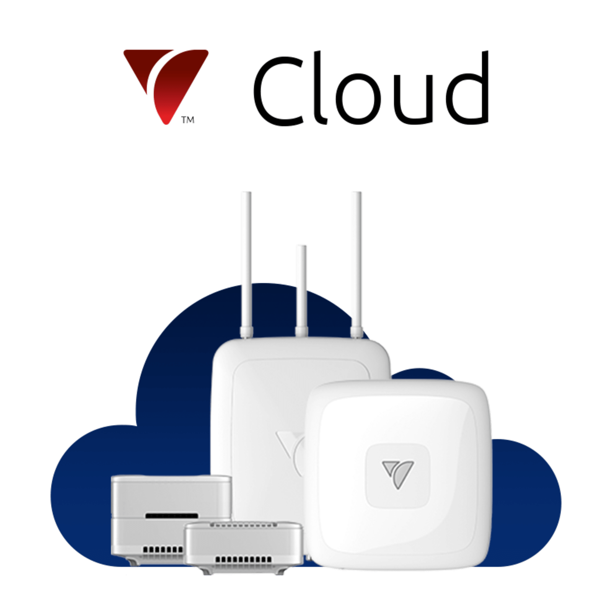 Servicios en la Nube de Veea por 1 año / Gestión Remota y Segura / Telemetría Avanzada / Actualizaciones OTA / Soporte Técnico Continuo / Operación de Dispositivos VeeaHub